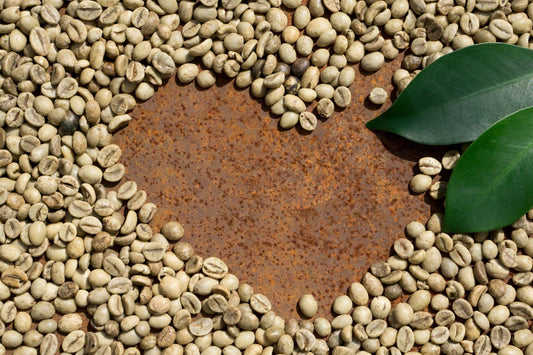 How to Use Green Coffee Bean for Weight Loss for Healthy Living?