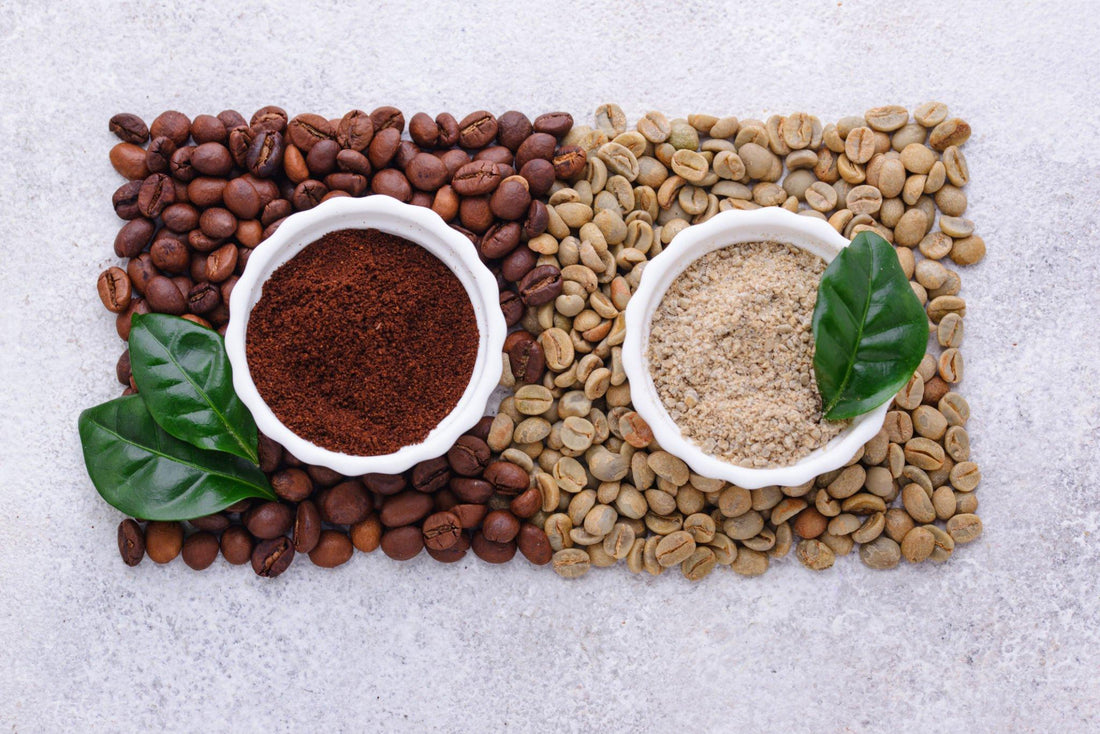 What is the Function of Green Coffee Bean Extract?
