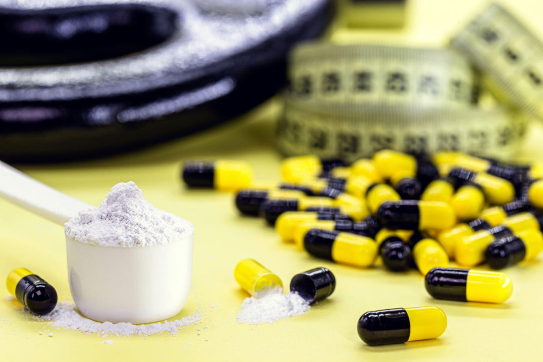 What Are Fat Burner Supplements? Find Your Answers!