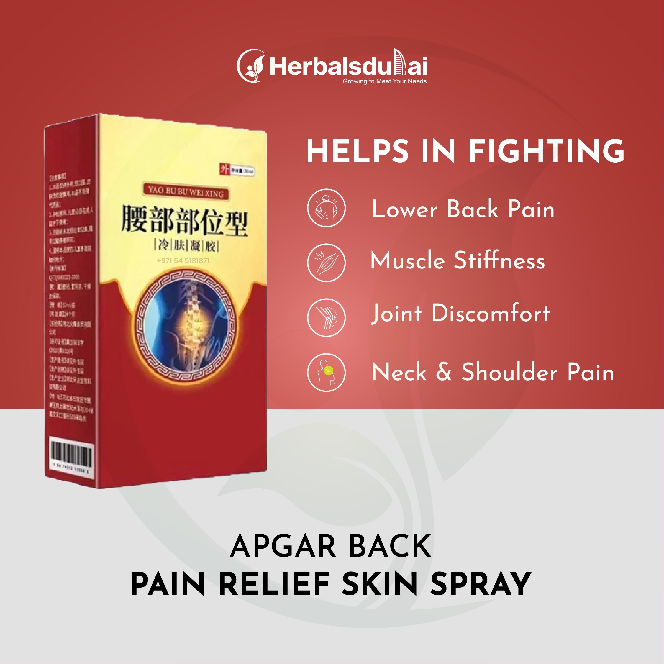 Packaging design of Apgar Back Pain Relief Skin Spray, featuring benefits such as reducing lower back pain, muscle stiffness, joint discomfort, and neck and shoulder pain. Herbals Dubai branding is seen at the top.