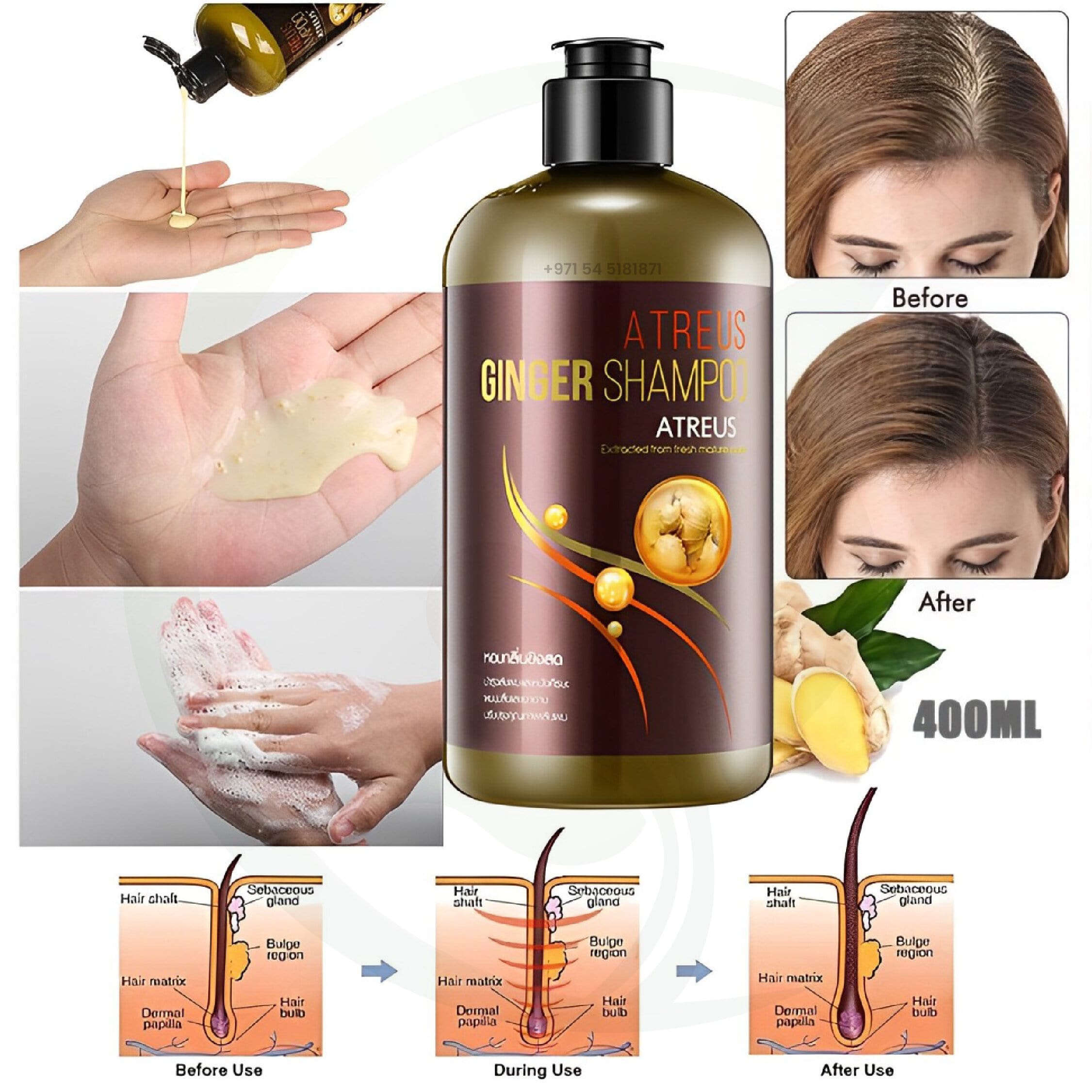 Ginger shampoo bottle with liquid pouring onto a hand, showing application and lathering process; includes before-and-after hair results and hair follicle diagram.