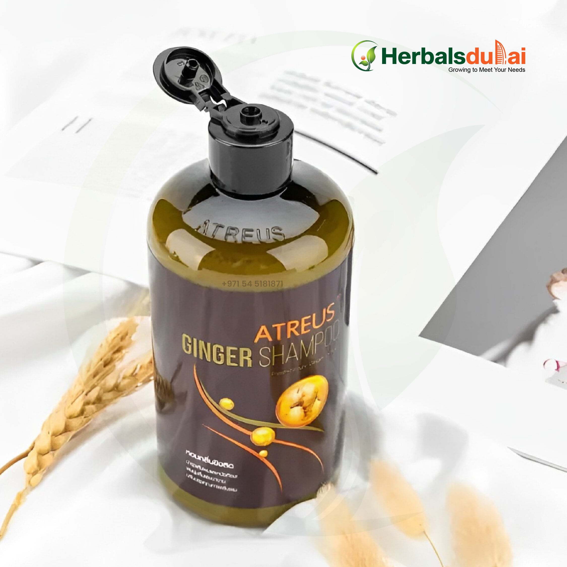 A bottle of Atreus ginger shampoo with open cap placed on a white surface, surrounded by dried wheat stalks and open magazines in the background, featuring the Herbals Dubai logo.