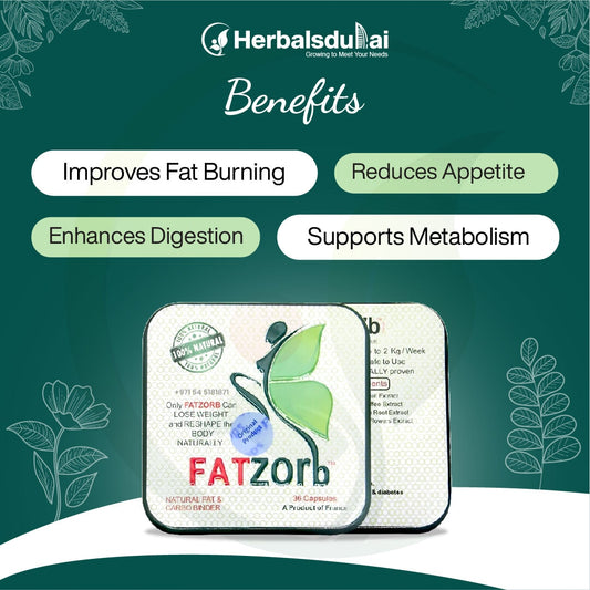 Herbal Dubai product advertisement for FATzorb capsules, highlighting benefits such as improving fat burning, reducing appetite, enhancing digestion, and supporting metabolism, with a natural and herbal theme.