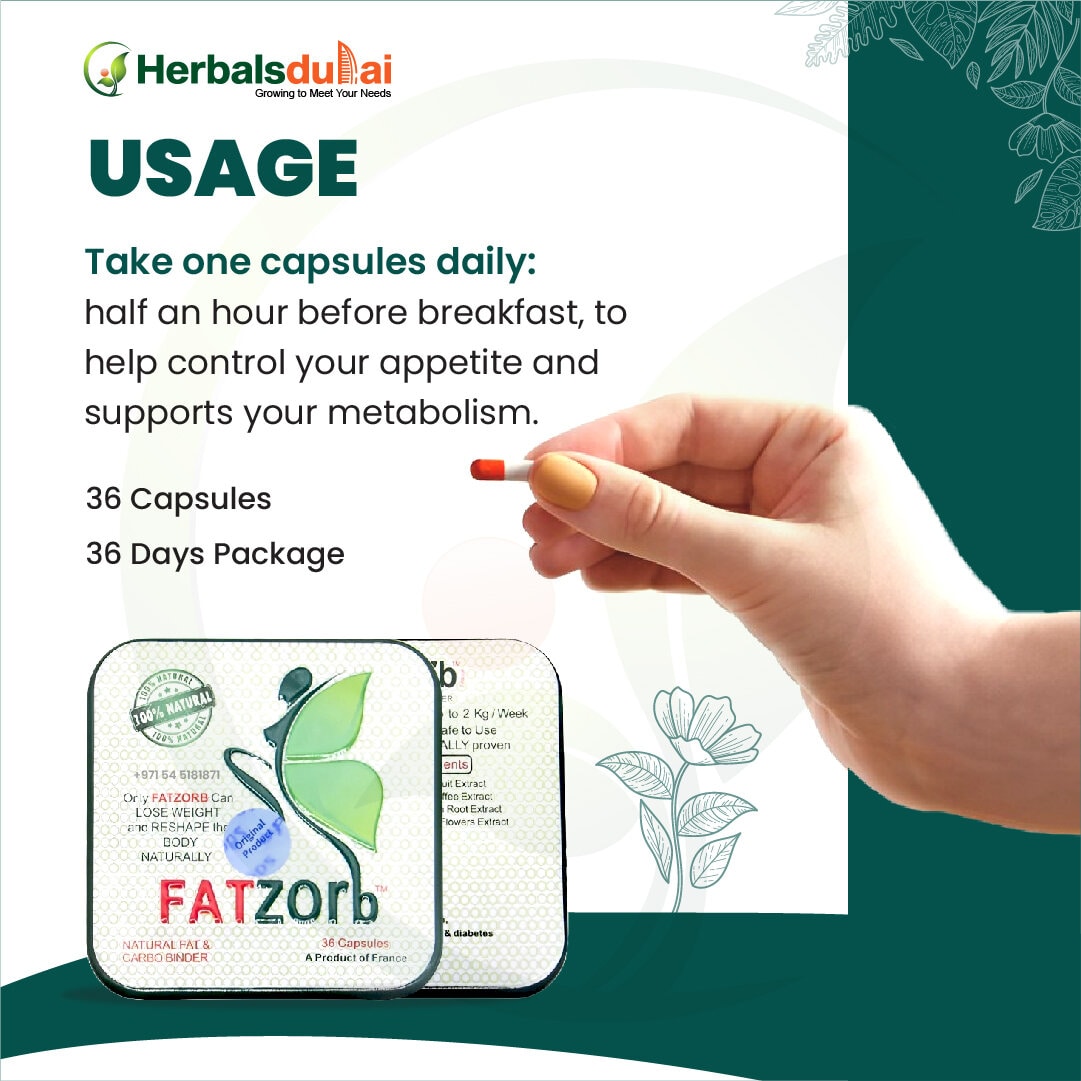 Image of a hand holding a red and white capsule in front of a product packaging labeled "FATzorb" with instructions for daily usage, highlighting a 36 capsules, 36-day package for appetite control and metabolism support, by Herbals Dubai.