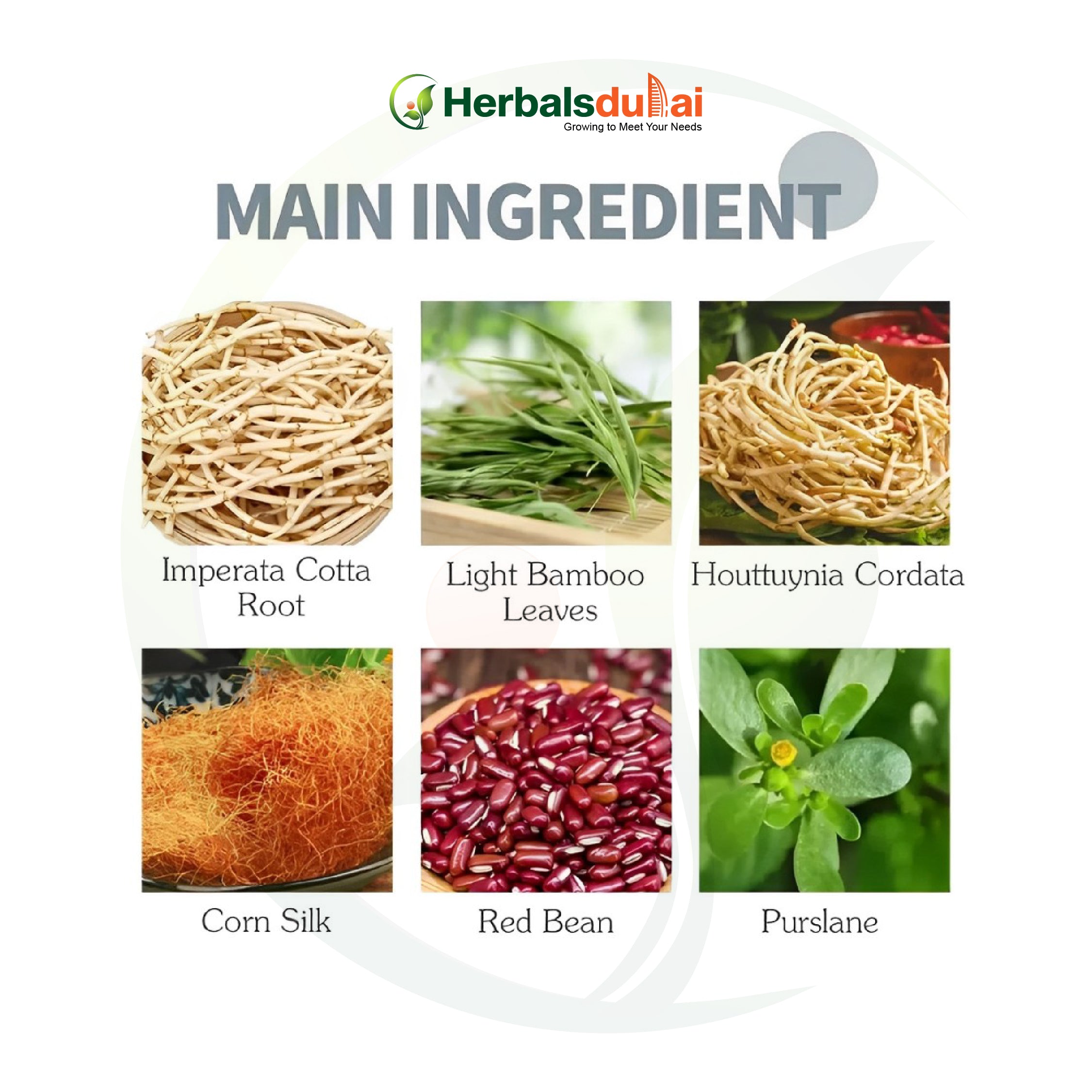 Image featuring six main ingredients of Herbal Stone Tea from Herbals Dubai, including Imperata Cotta Root, Light Bamboo Leaves, Houttuynia Cordata, Corn Silk, Red Bean, and Purslane, arranged in a grid layout.