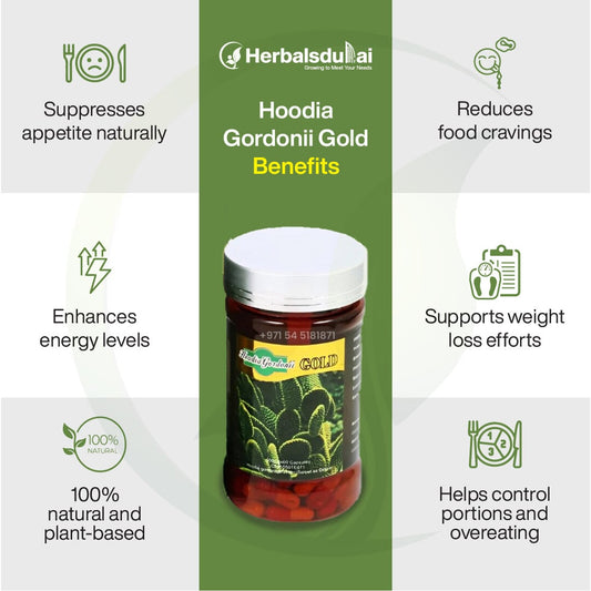 Image of an Herbal Dubai product, Hoodia Gordonii Gold, highlighting benefits such as natural appetite suppression, food craving reduction, energy enhancement, weight loss support, and being 100% natural and plant-based.