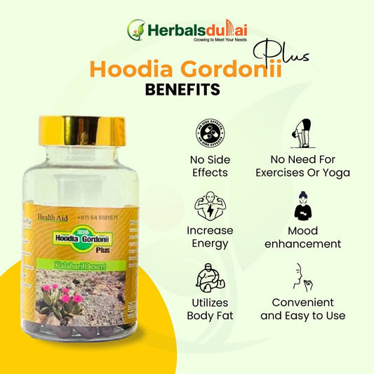 Image of a bottle labeled "Hoodia Gordonii Plus" by Herbals Dubai, highlighting benefits such as no side effects, increased energy, mood enhancement, convenience, and body fat utilization.