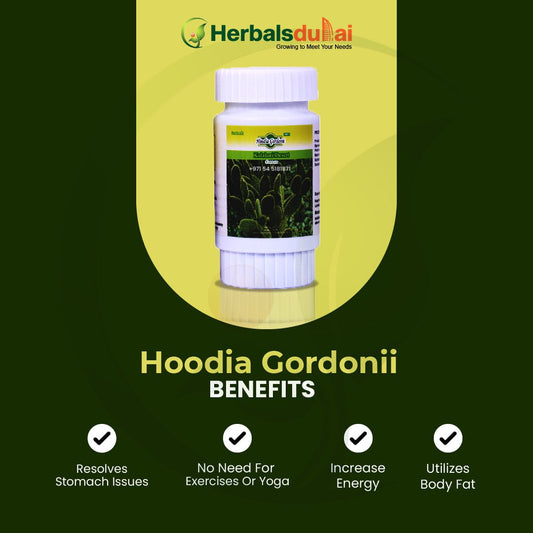 Herbal supplement bottle labeled Hoodia Gordonii, featuring product benefits such as resolving stomach issues, increasing energy, reducing the need for exercise or yoga, and utilizing body fat, presented by Herbals Dubai.