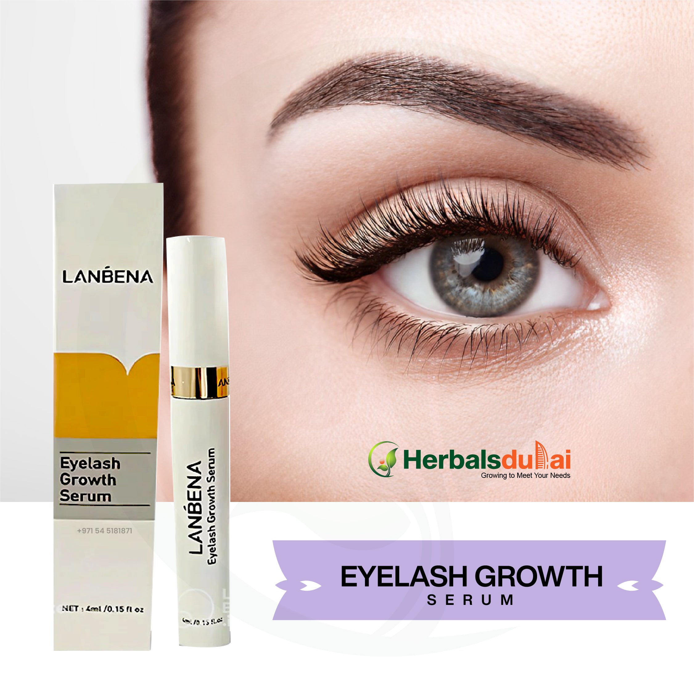 Close-up image of an eye with long, full eyelashes and a Lanbena Eyelash Growth Serum product displayed alongside, with a Herbals Dubai logo.